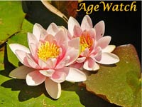 Age Watch